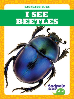 cover image of I See Beetles